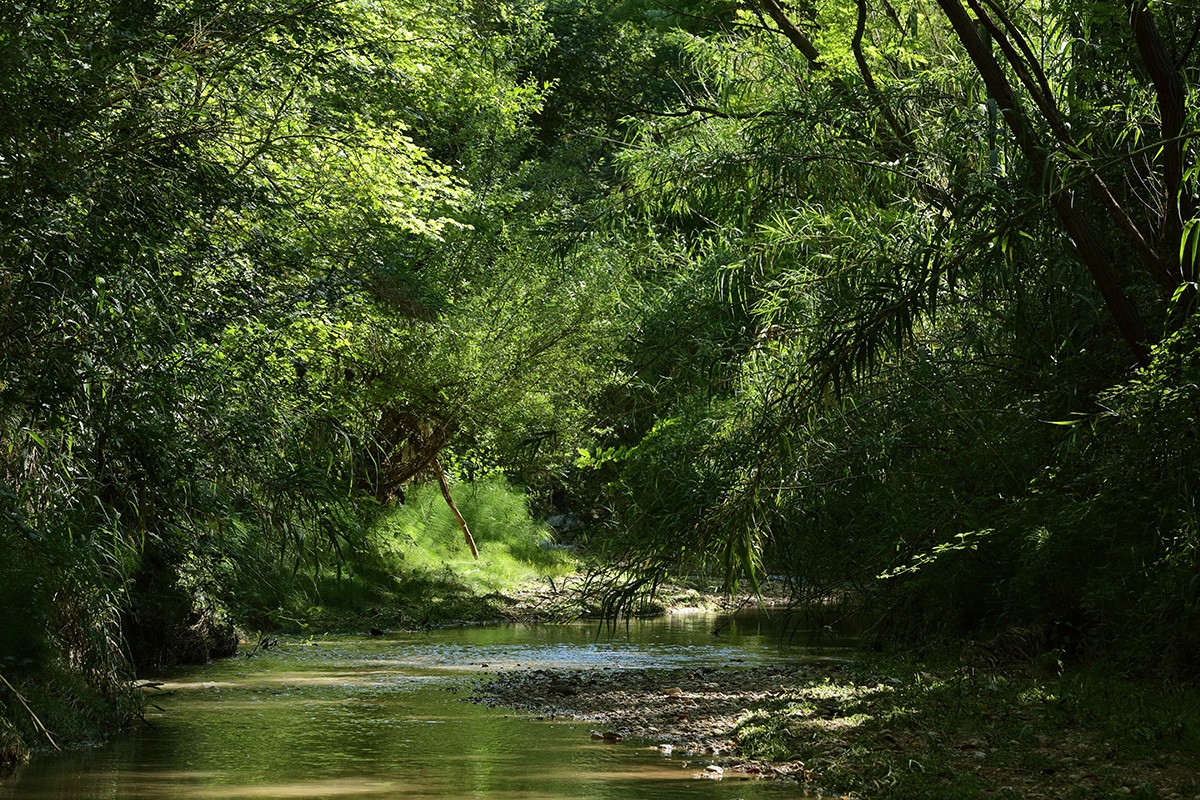 El riu Bitlles al seu pas per l'Heretat