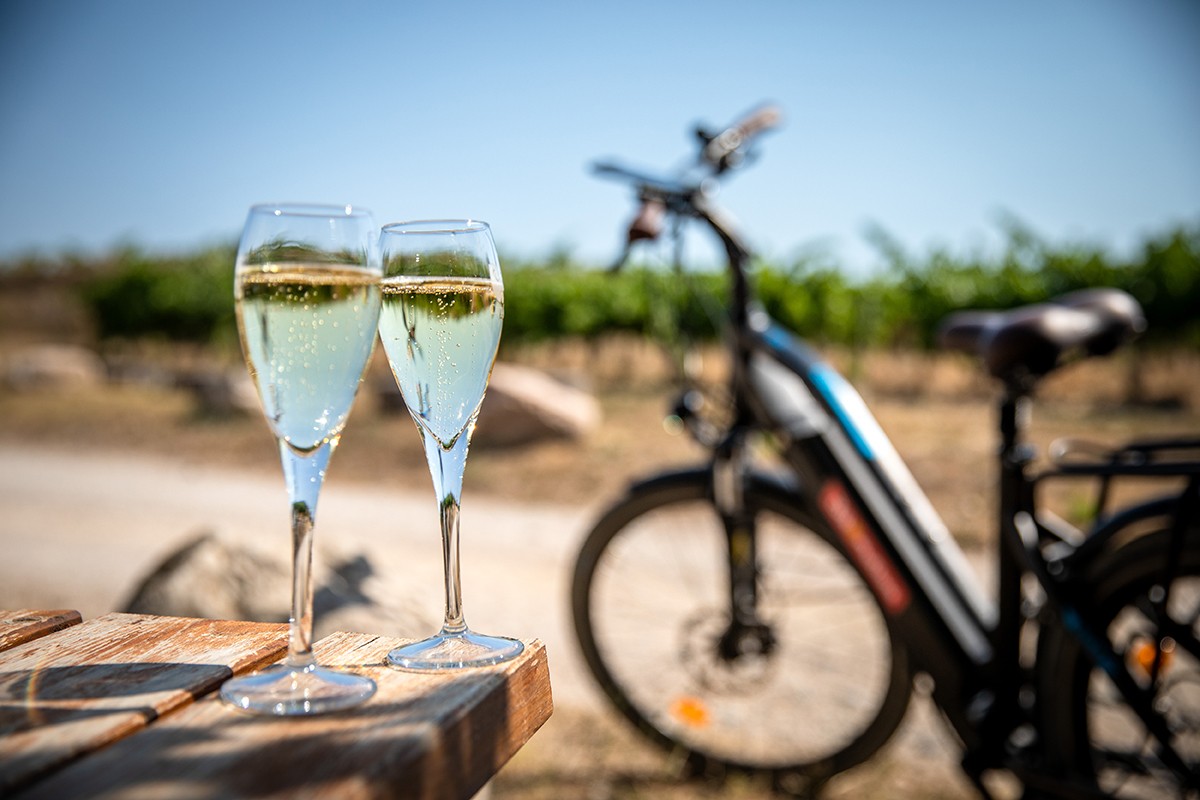 Imatge il·lustrativa