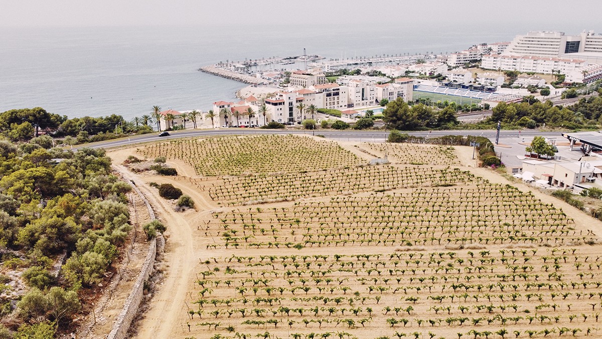 Imatge il·lustrativa