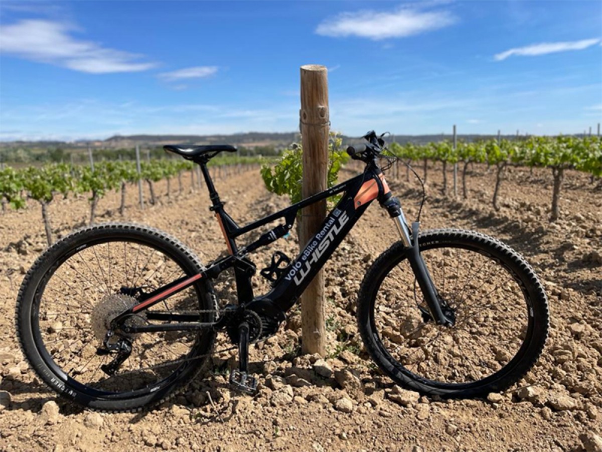 Imatge il·lustrativa