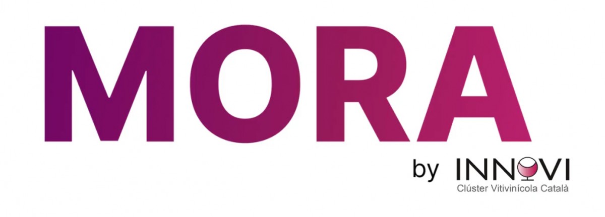 Imatge il·lustrativa