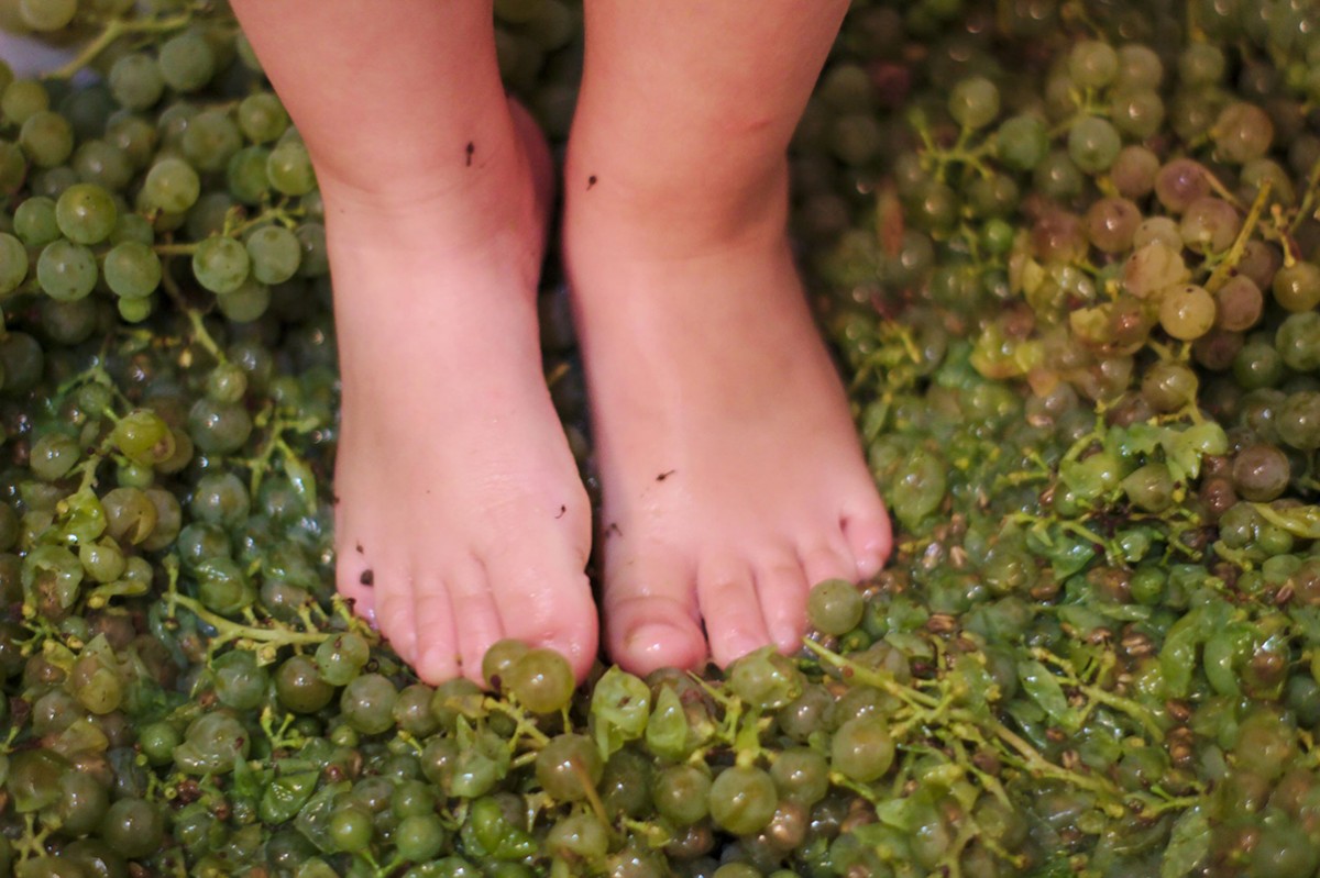 Imatge il·lustrativa