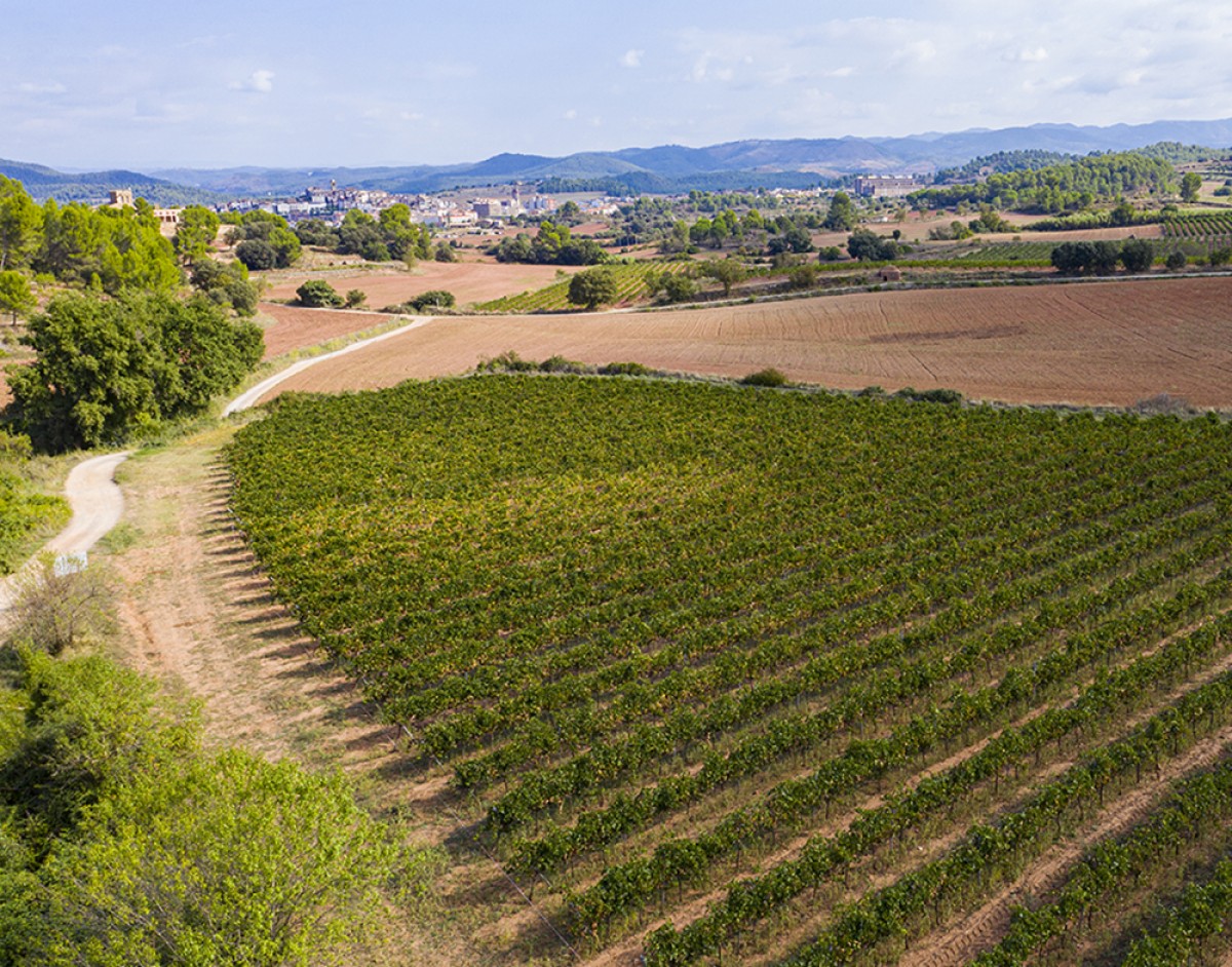 Imatge il·lustrativa