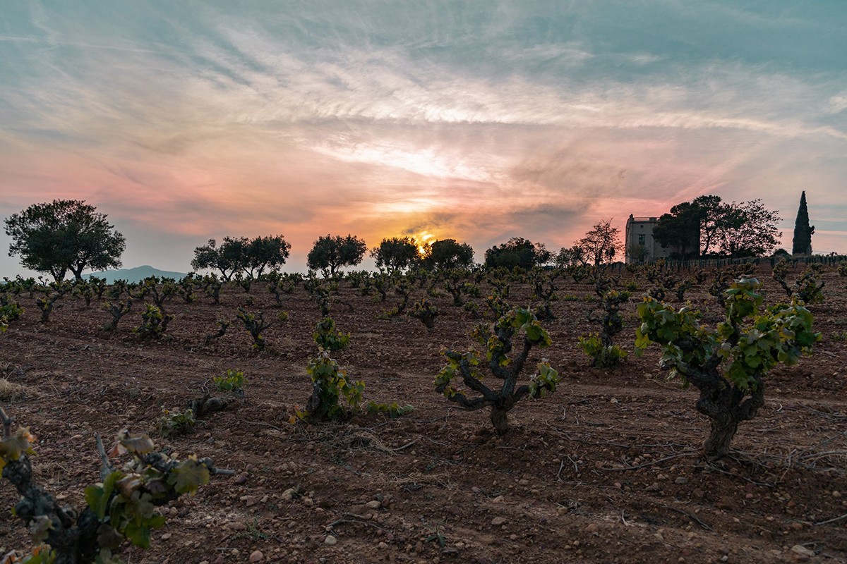 Imatge il·lustrativa