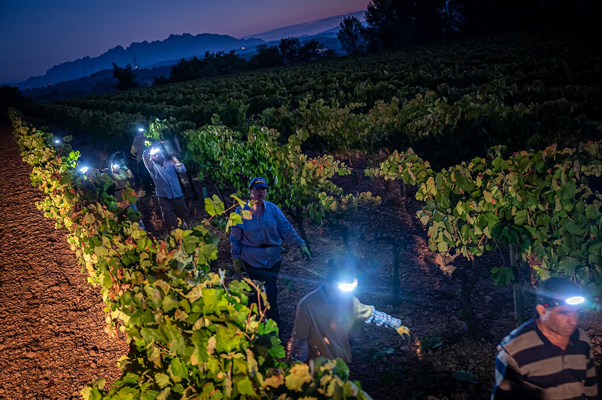 Imatge il·lustrativa