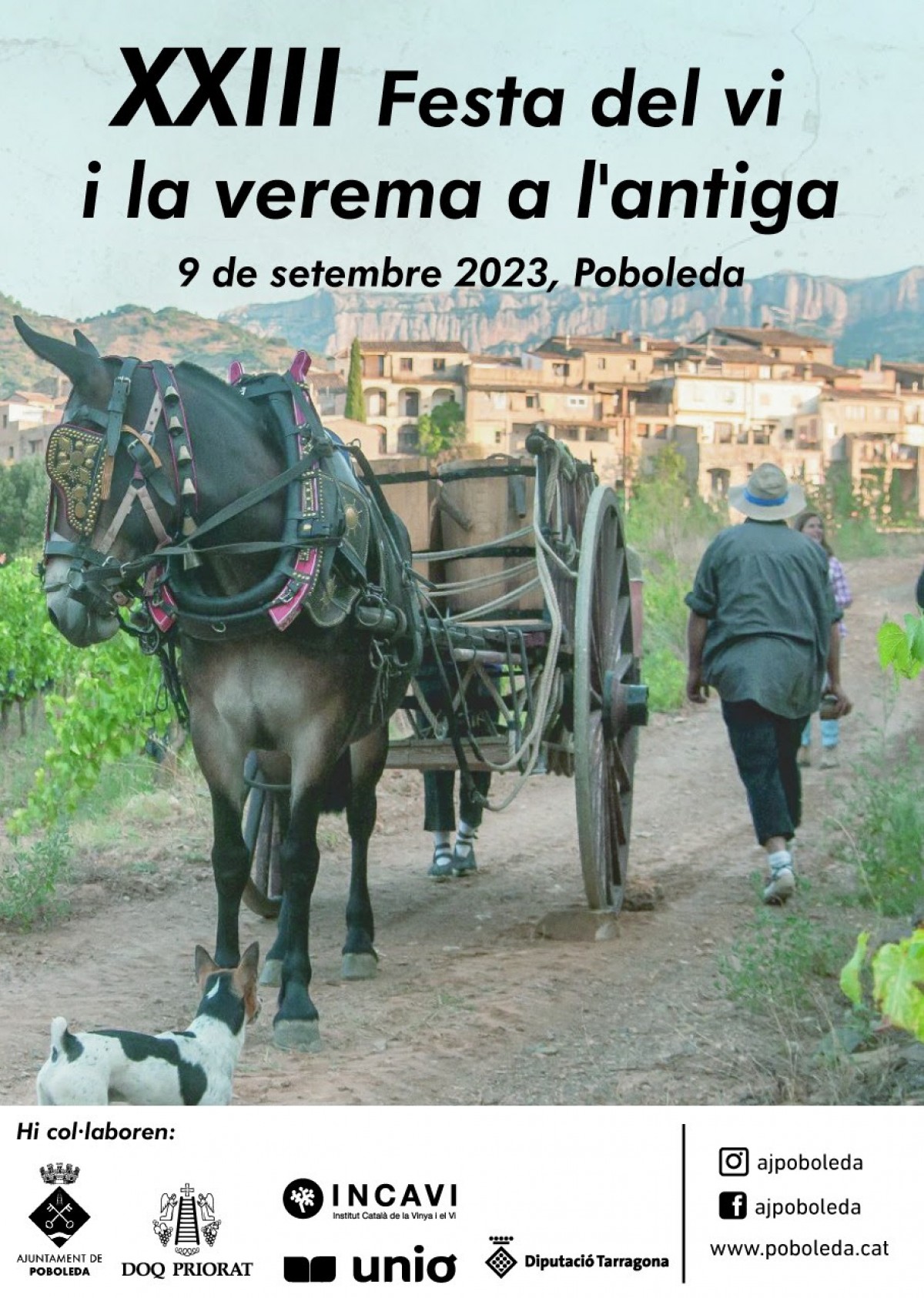 Imatge il·lustrativa