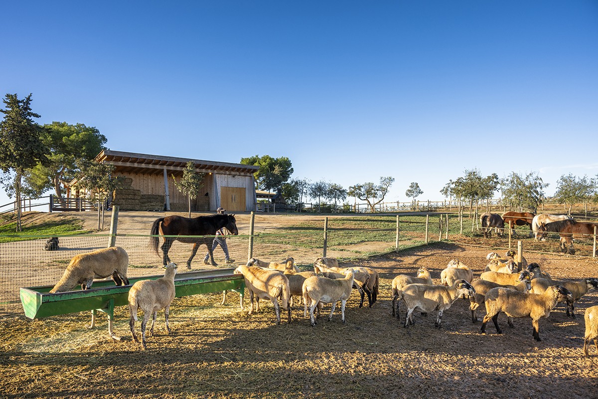 Granja biodinàmica de Gramona