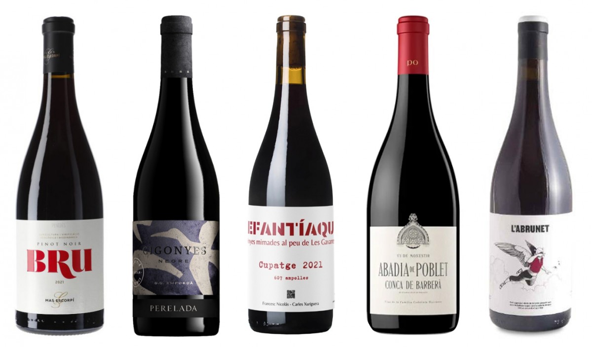 Imatge il·lustrativa