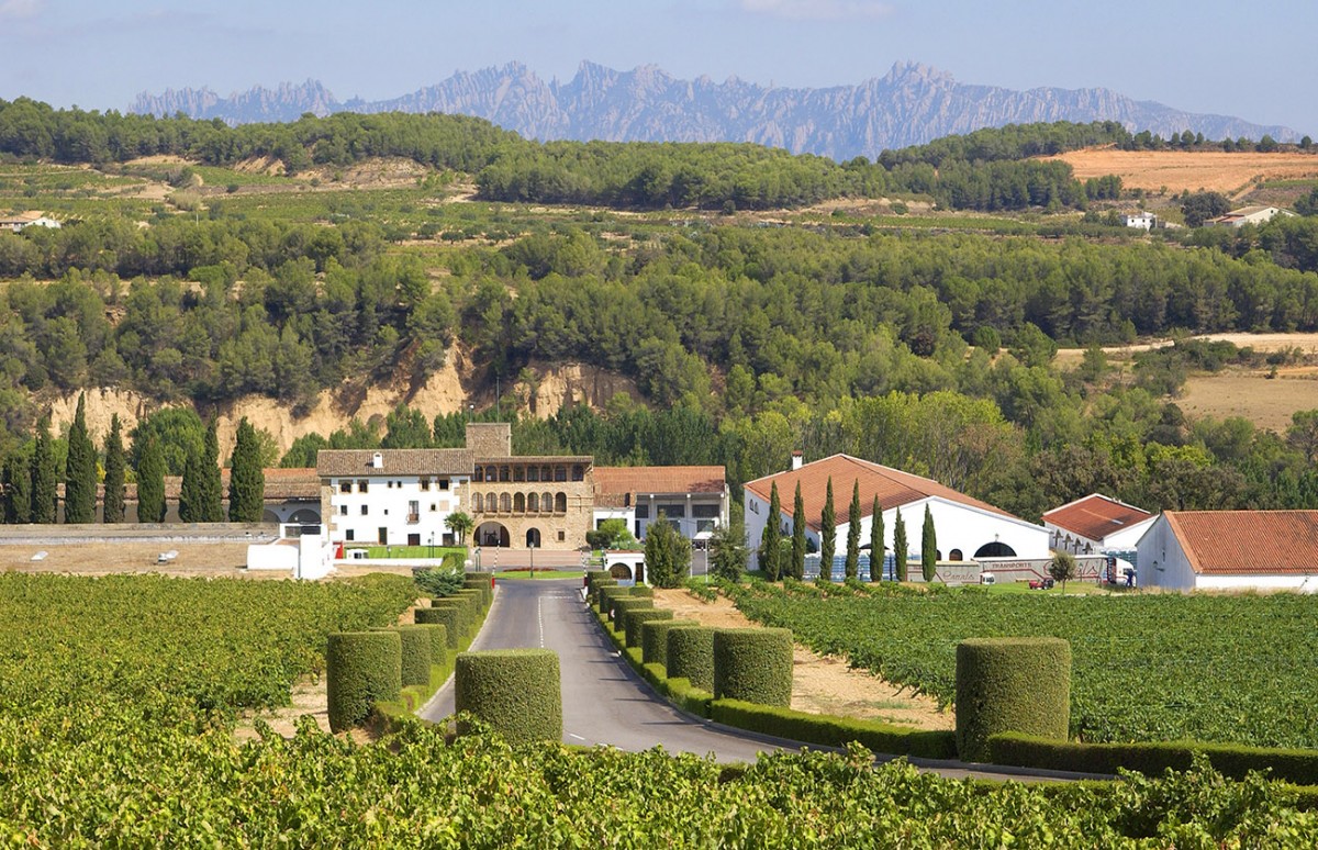 La finca de l'Heretat Segura Viudas