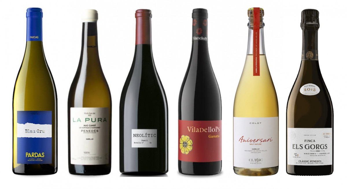 Imatge il·lustrativa