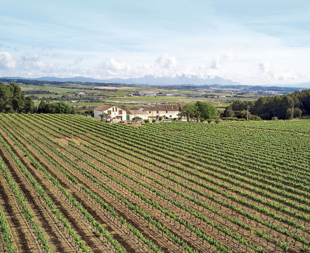 Imatge il·lustrativa