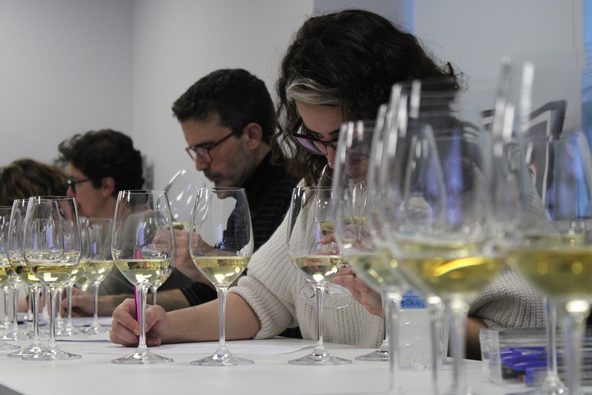 Alumnes estudiant pel títol de Master of Wine