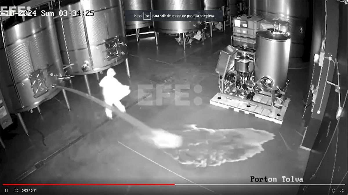 Imatge il·lustrativa