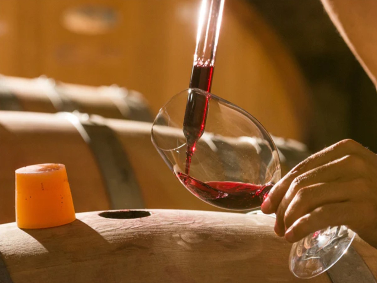 Imatge il·lustrativa