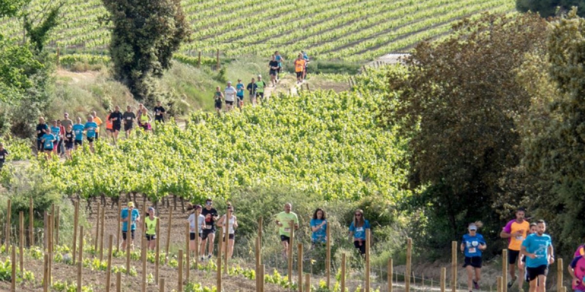 Imatge il·lustrativa