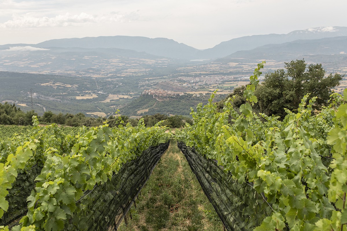La sostenibilitat és un dels valors fundacionals i una de les prioritats de Castell d’Encús, a Talarn.