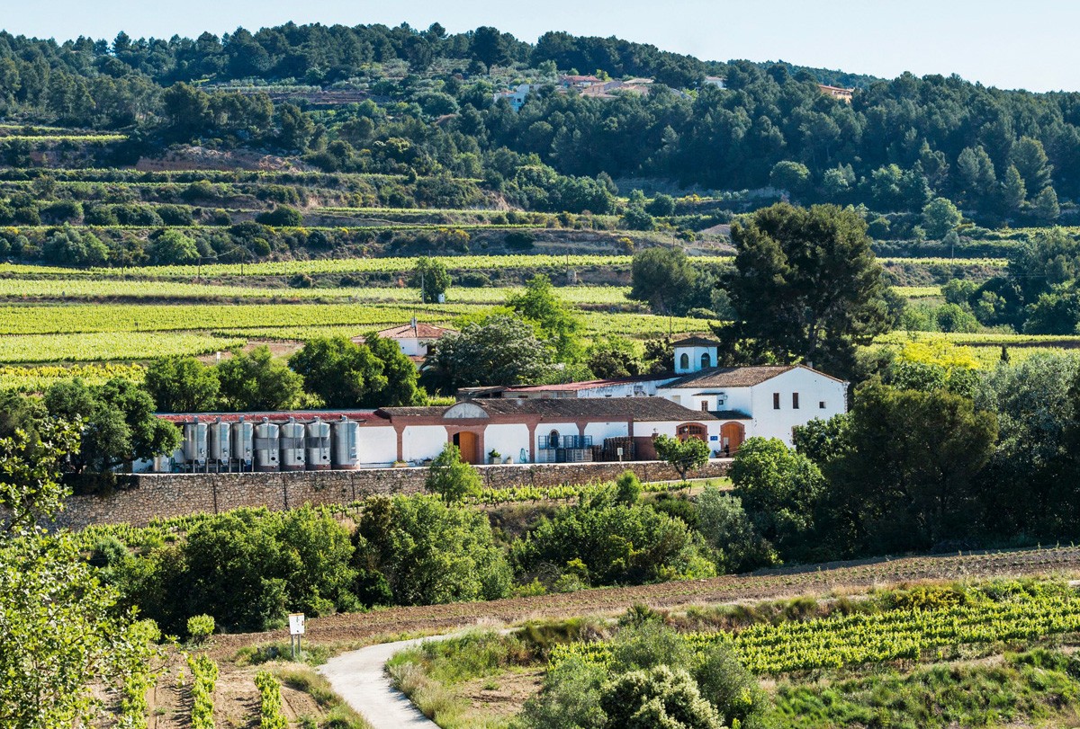 Vista del celler Eudald Massana