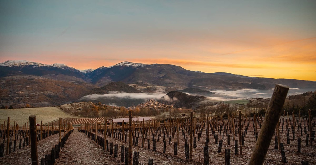 Cal Mandrat, un dels pocs cellers que elaboren a La Cerdanya