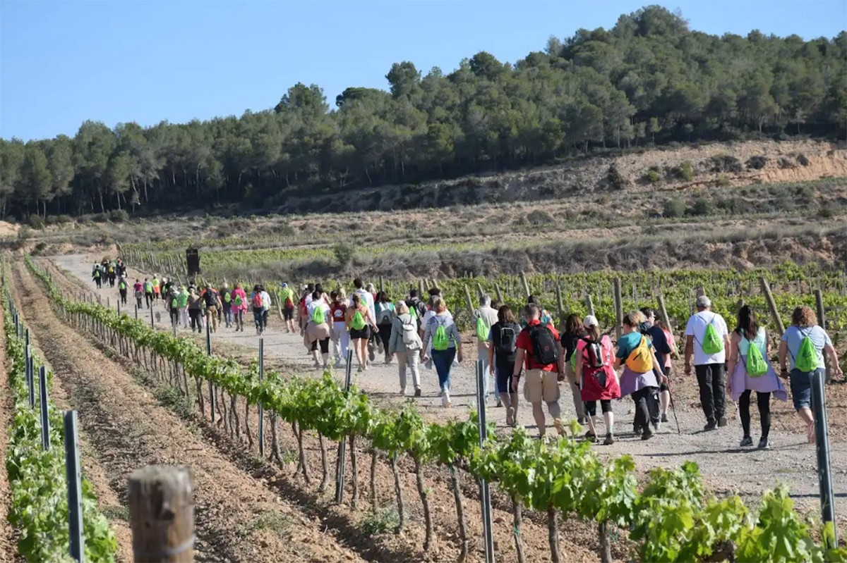 Imatge il·lustrativa