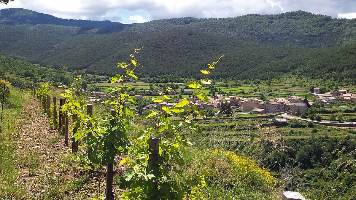 Bauma de les Deveses