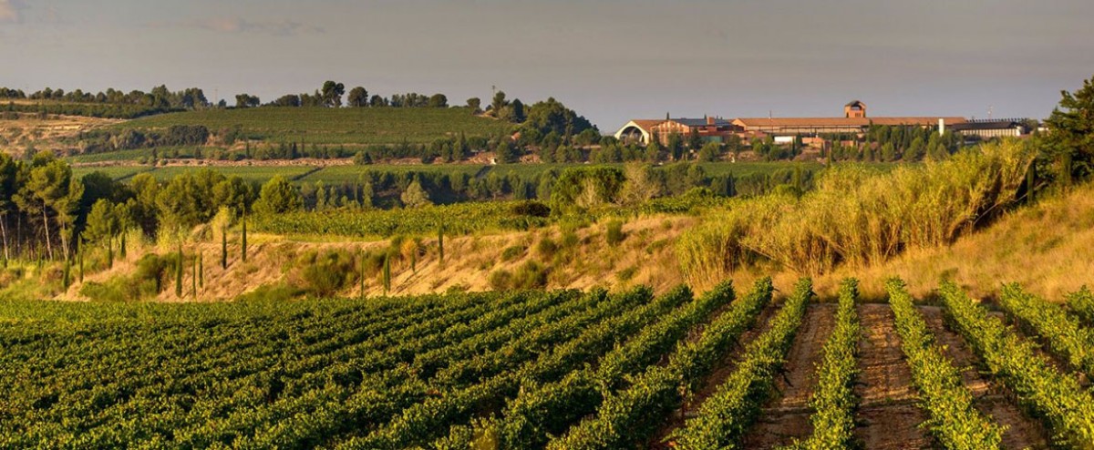 Imatge il·lustrativa