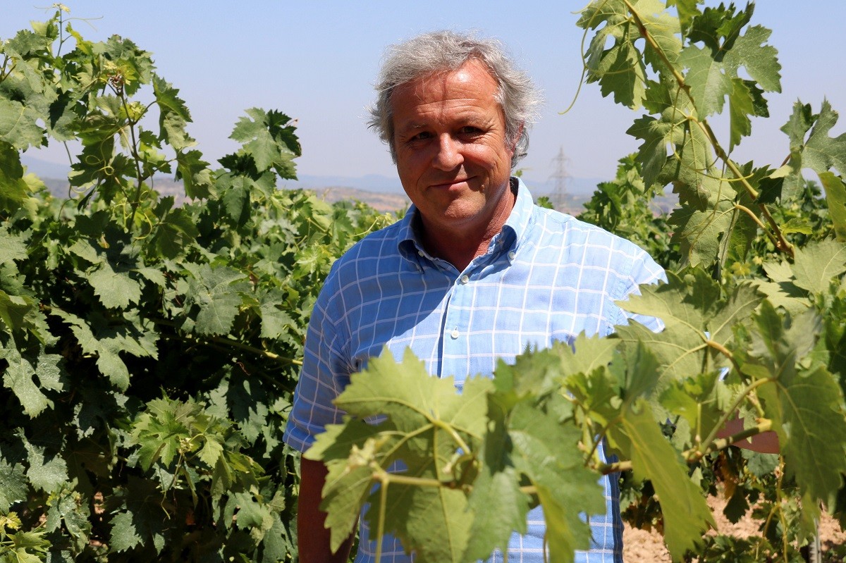 Joan Huguet, president de la DO Penedès