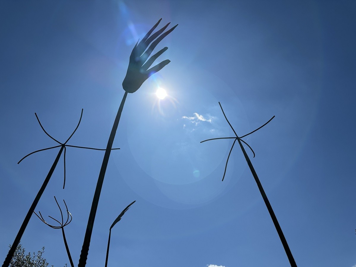 Imatge il·lustrativa