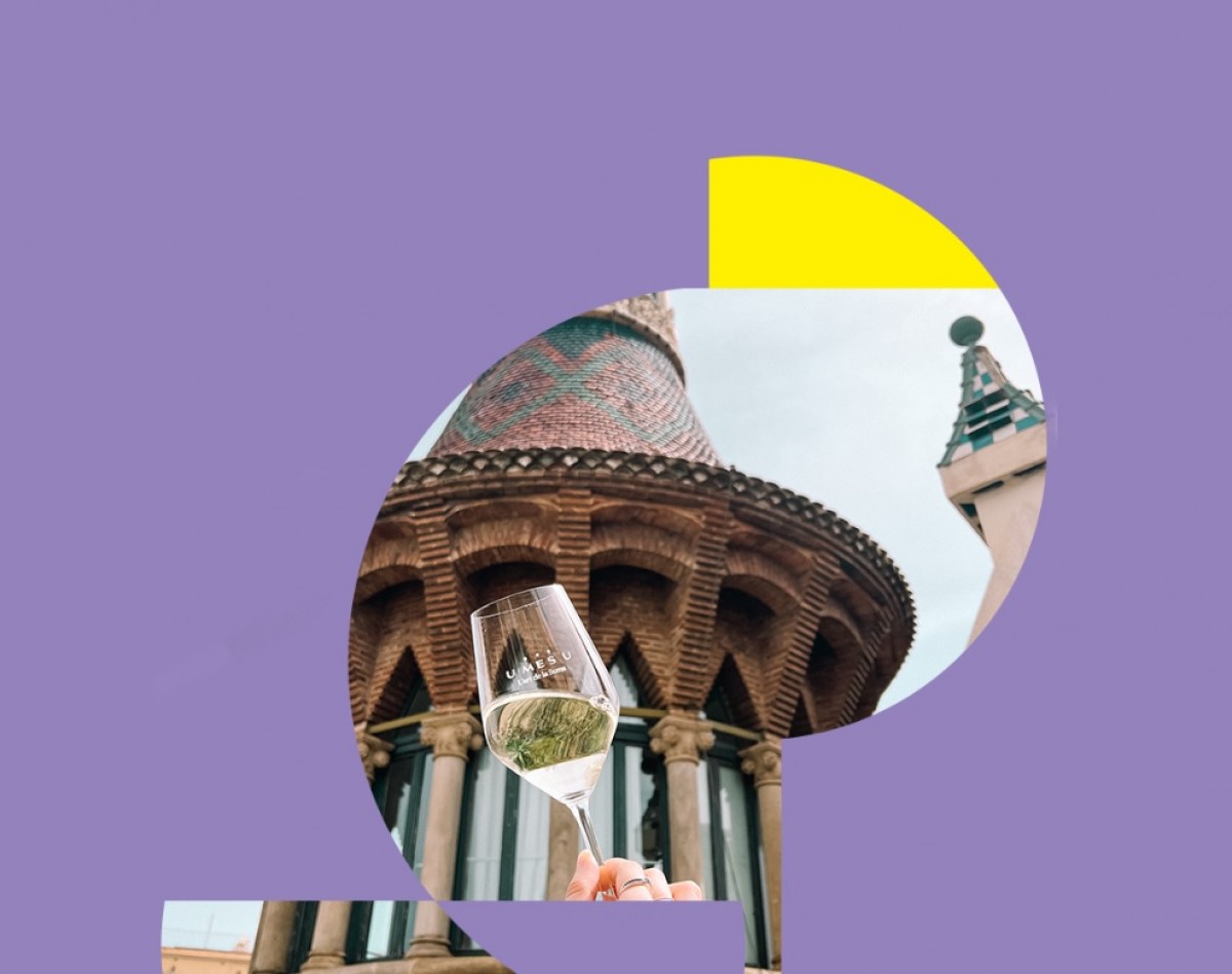 Imatge il·lustrativa