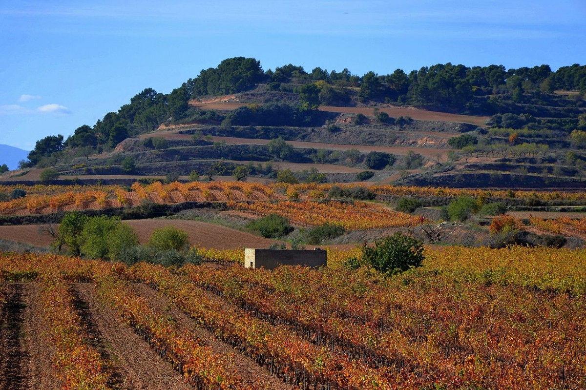 paisatge de Sarral, Conca de Barberà