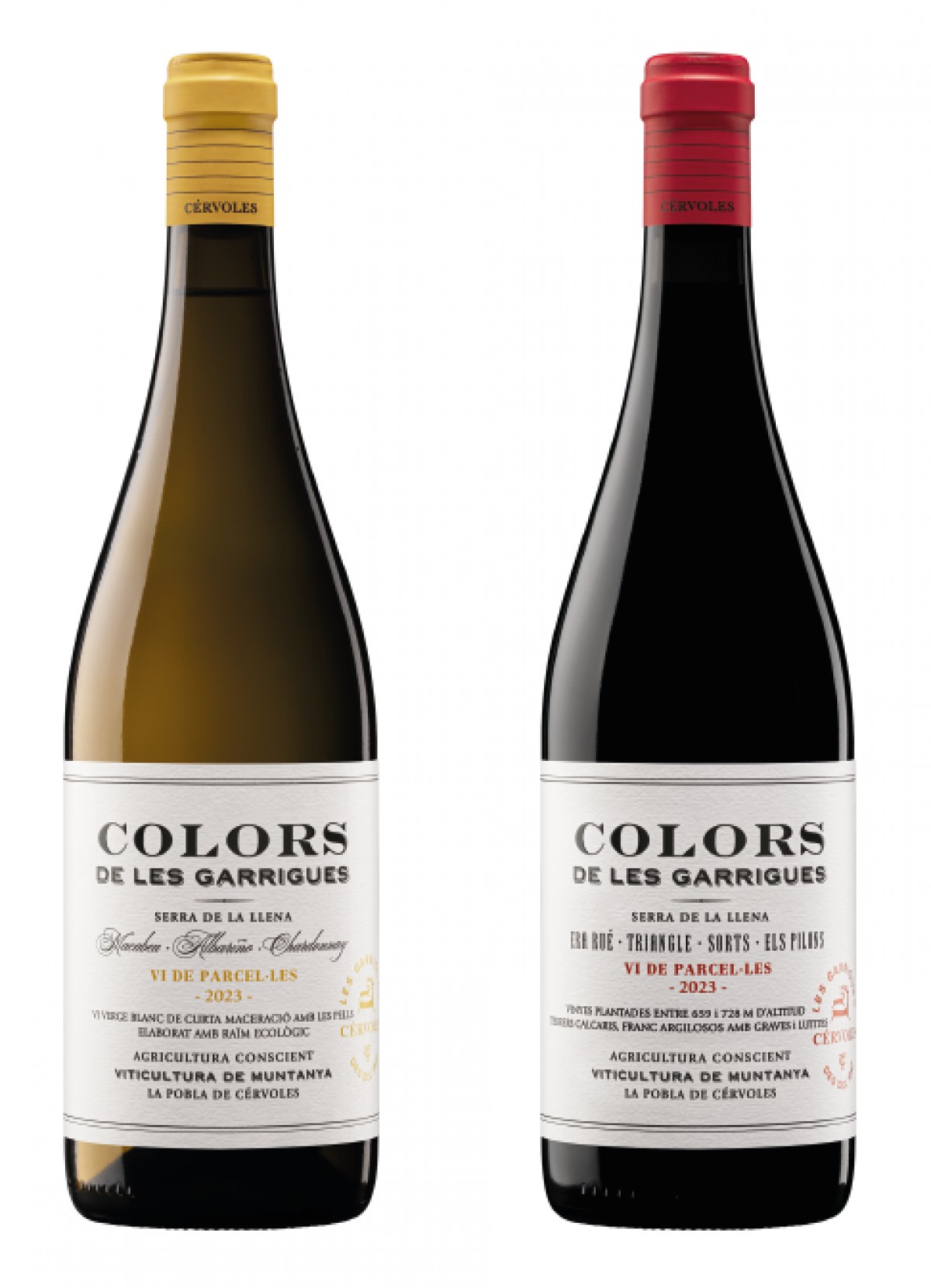 La nova imatge destaca la seva procedència, Les Garrigues