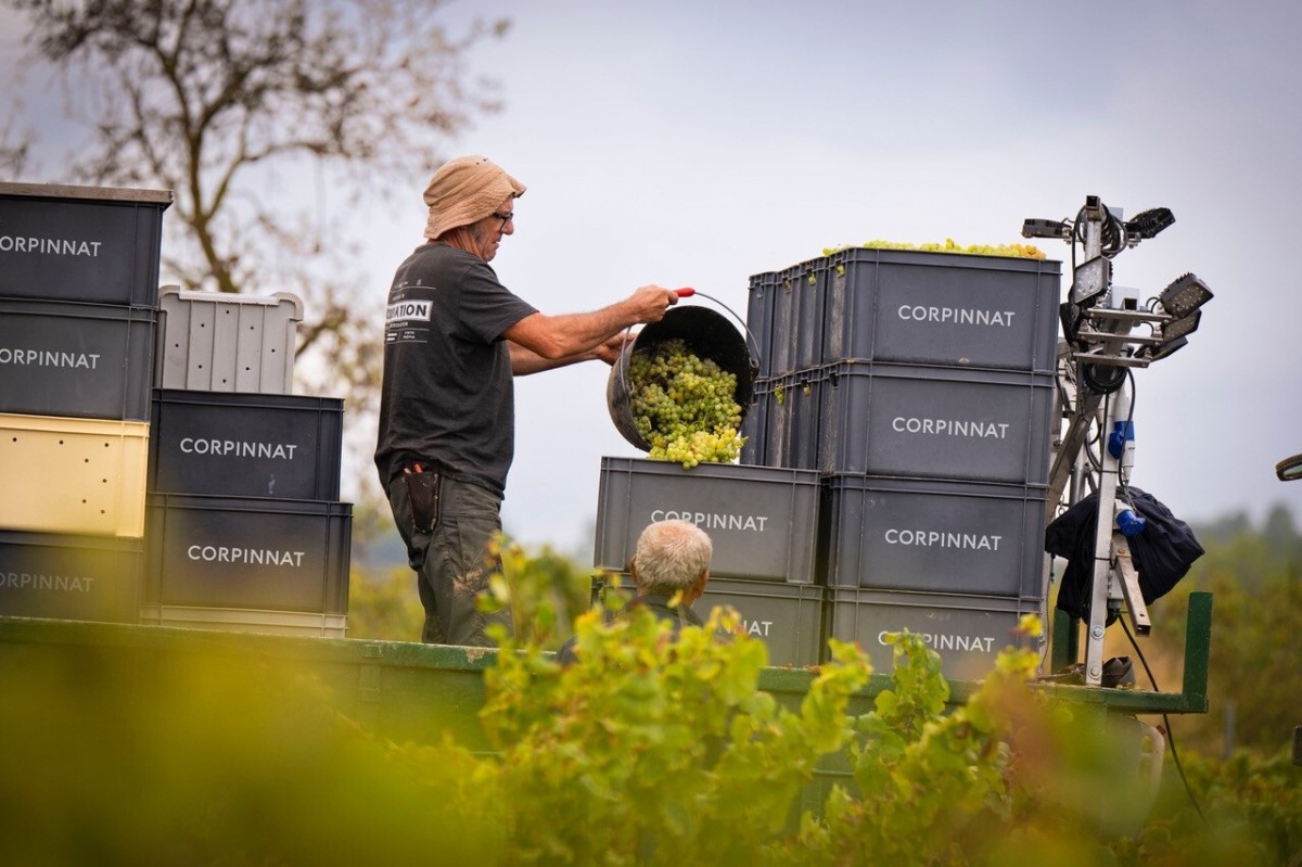 Una de les reinvindicacions de Corpinnat és ser present a les diferents taules del sector.