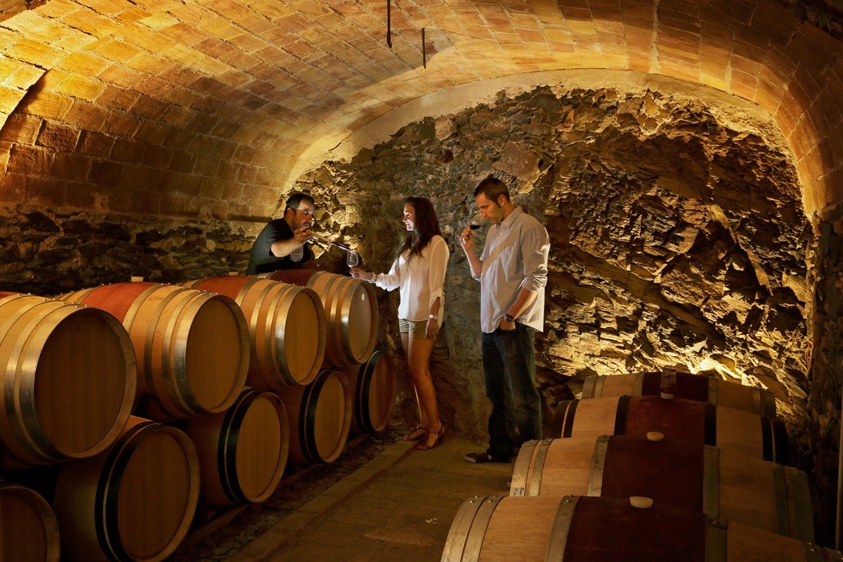 Tast de vi directament d'una bota en un celler del Priorat