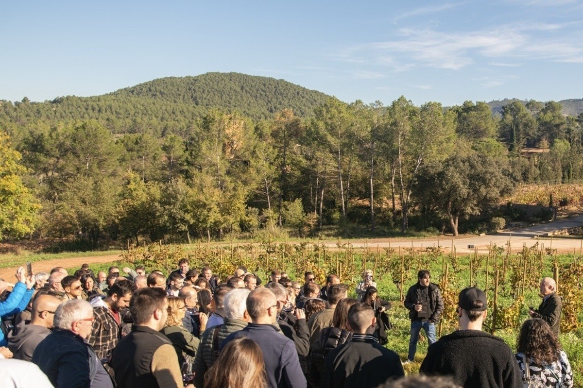 Miquel Palau, l'enòleg d'Abadal, explicant els secrets de la vinya als clients restauradors.
