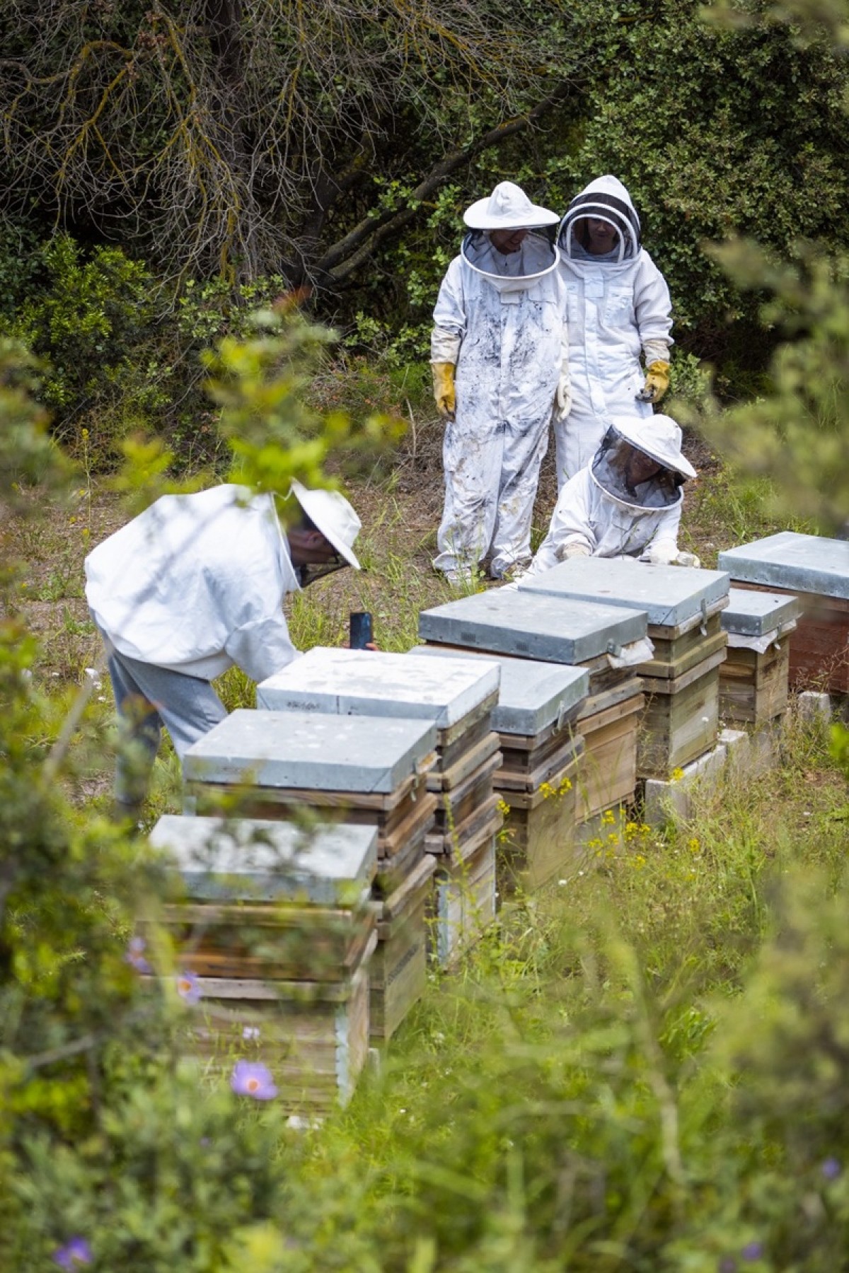 Vilarnau col·labora amb el projecte JoinBee de Verallia per promoure la sostenibilitat mitjançant el vidre
