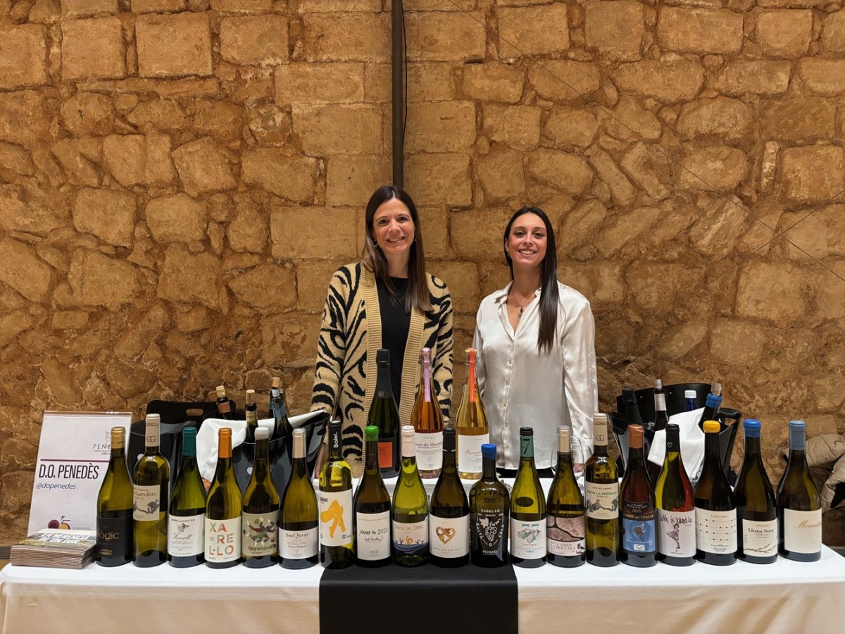 Tast de vins Penedès amb Xarel·lo com a protagonista en un showroom professional.