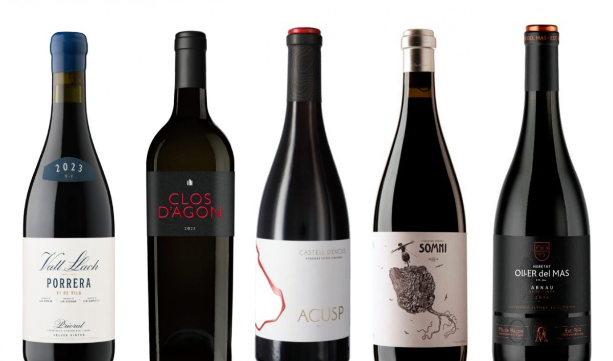 Cinc vins negres elaborats a casa per competir amb els millors vins del món