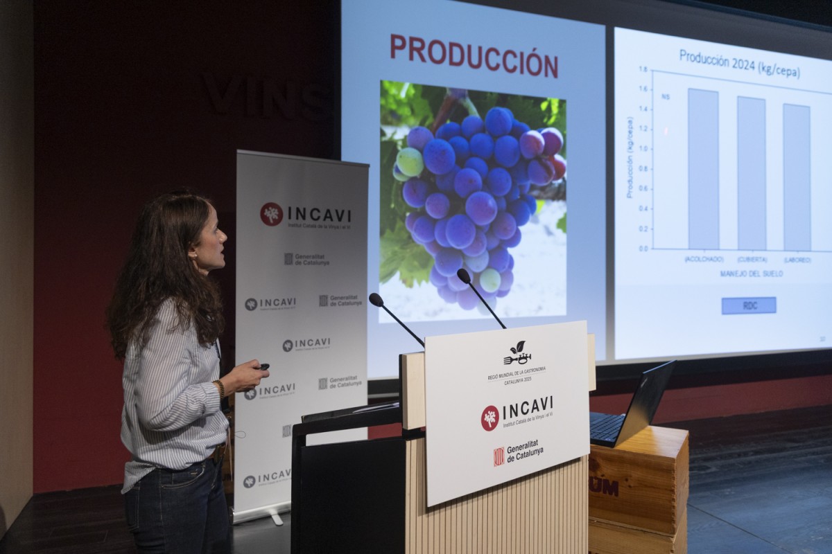 Investigadors de tot l’Estat debaten a Vilafranca els reptes i avenços de la viticultura i l’enologia del futur.
