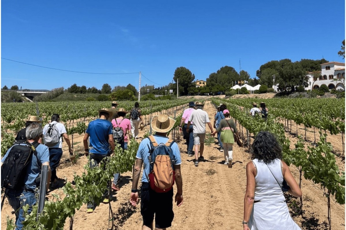 Vilarnau proposa un maridatge excepcional per gaudir dels seus caves en una experiència gastronòmica única.