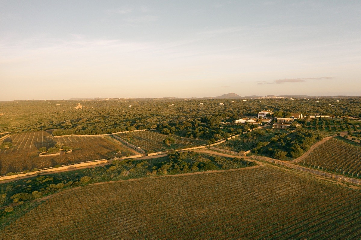 Torralbenc és un projecte vitivinícola pioner a Menorca que recupera una finca històrica per elaborar vins de finca amb identitat, nascuts literalment de la roca.