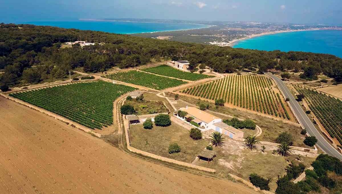 La Mola, on Terramoll cultiva varietats autòctones sobre sòls arenosos i vinyes lliures de fil·loxera, continuarà sent el cor del projecte.