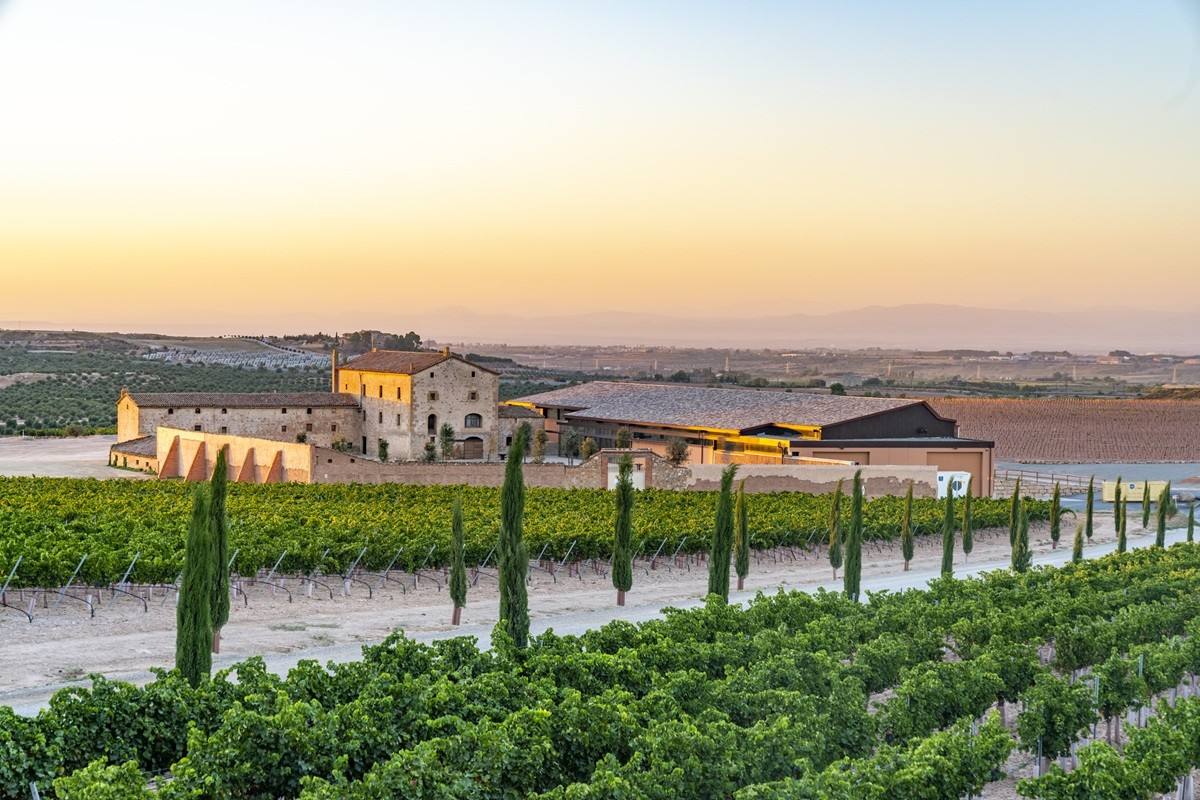 La finca Purgatori, al cor de les Garrigues, dona vida a un vi nascut entre llegendes, clima extrem i varietats oblidades.