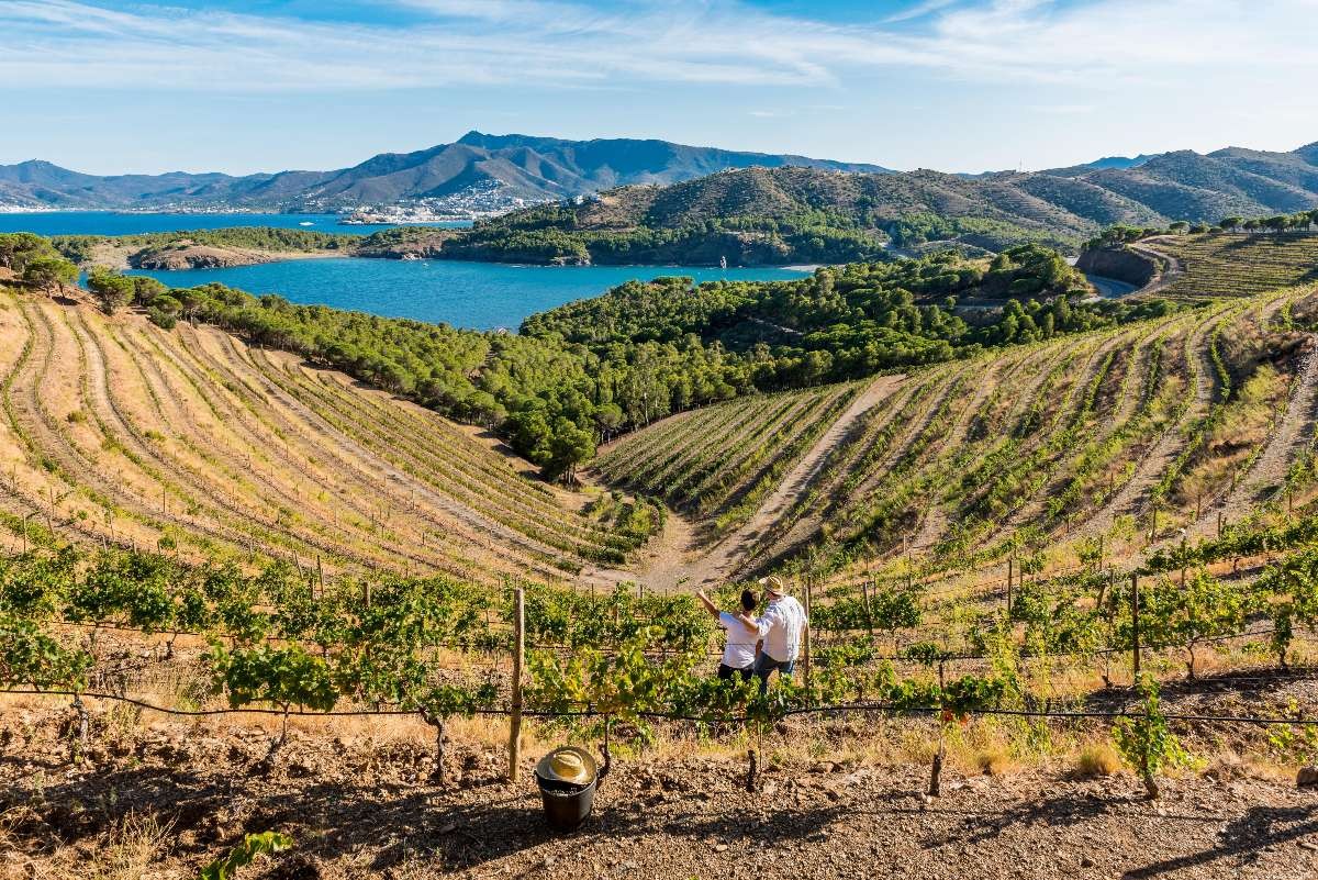 Finca Garbet, una vinya privilegiada entre el Mediterrani i els Pirineus, origen dels vins més emblemàtics de Perelada.