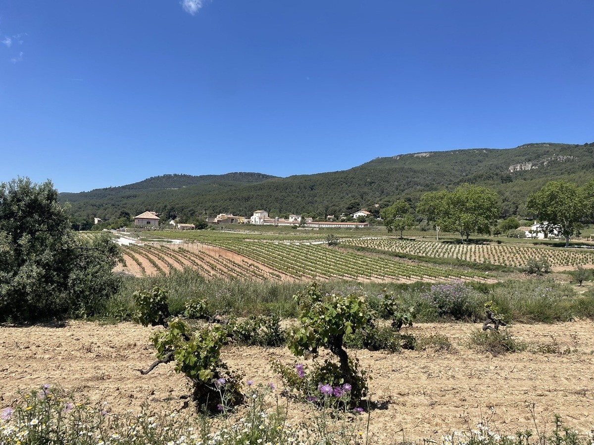 Montrubí, a l'Avellà, és un paratge natural privilegiat de l'Alt Penedès.