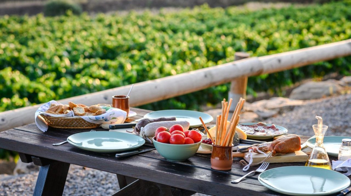 La Verema del Cava celebra 10 anys amb activitats immersives en cellers del Penedès i la Conca de Barberà.