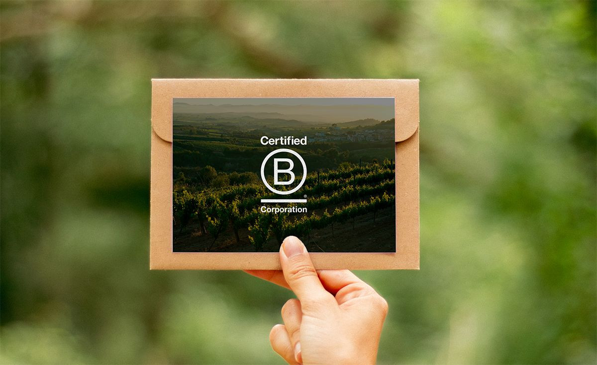 Albet i Noya aconsegueix el segell BCorp i fa un pas més en el respecte ambiental i les pràctiques ètiques