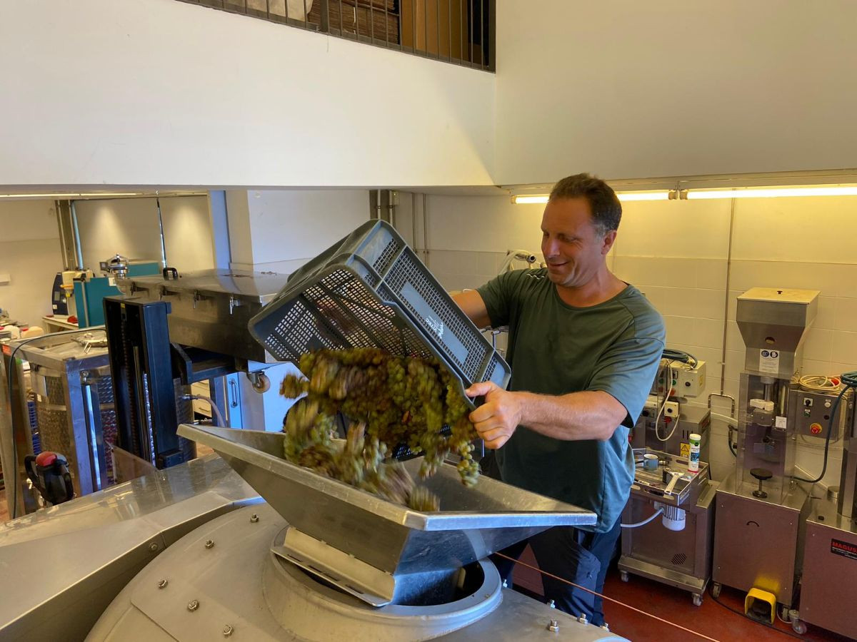 Sergi Delamo pren el relleu de Mario de la Fuente a la PTV