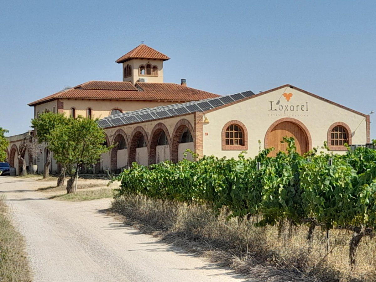 La DO Penedès és primera del món 100% ecològica