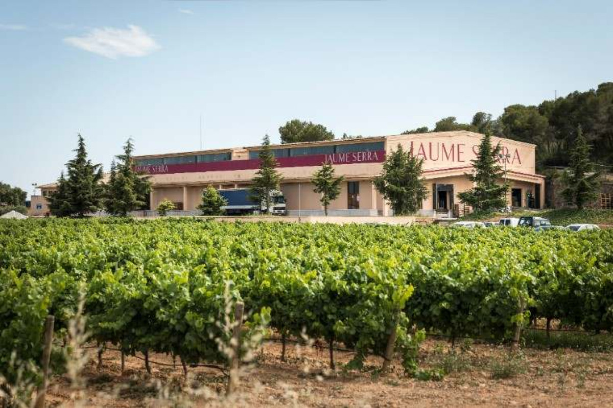 Jaume Serra, del grup García Carrión, elabora 40 milions d'ampolles de Cava i 5 milions de vi tranquil
