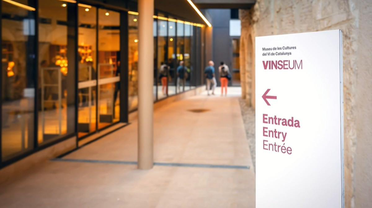 El Vinseum supera els 92.000 visitants des del nou projecte del 2024.