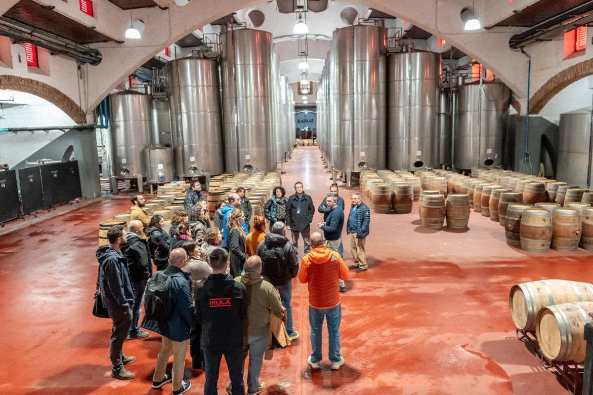 L’esdeveniment que reuneix el sector vitivinícola per explorar com la innovació i la intel·ligència artificial estan transformant la vinya, el celler i la relació amb el consumidor.